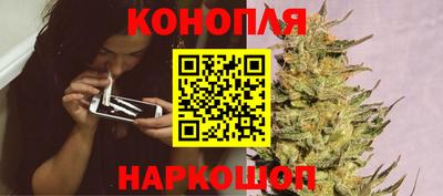 молекула духа Донецк