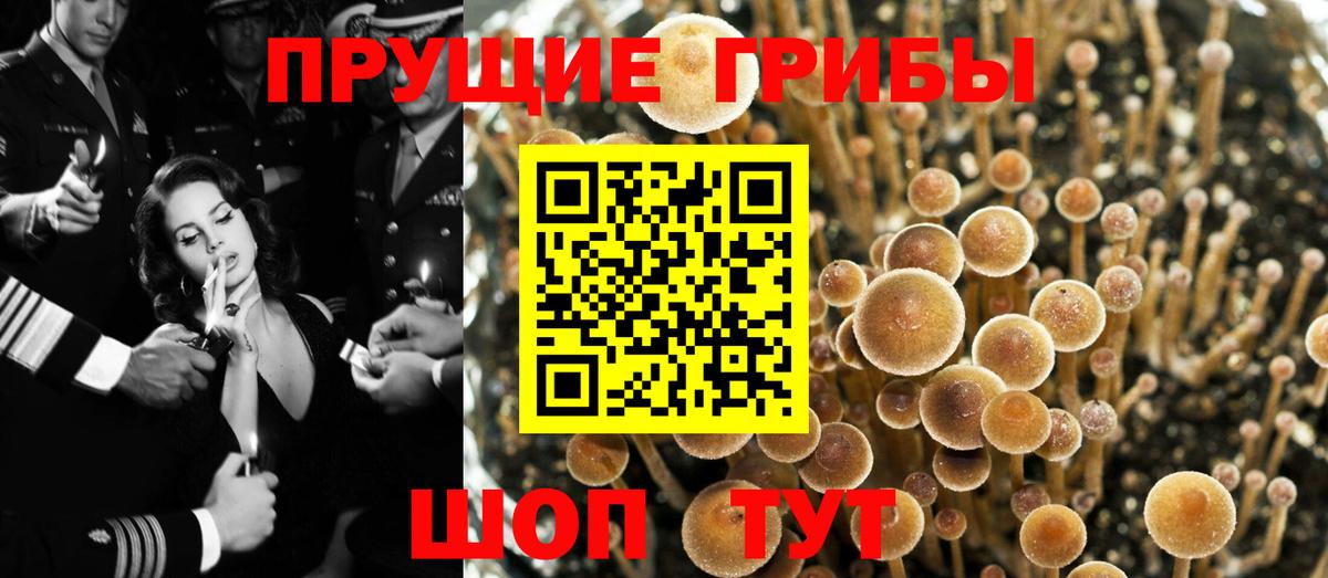 Южно-Сахалинск  Псилоцибиновые грибы мухоморы  Вход с VPN 