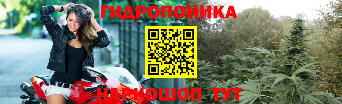 Бошки Шишки MAZAR Южно-Сахалинск